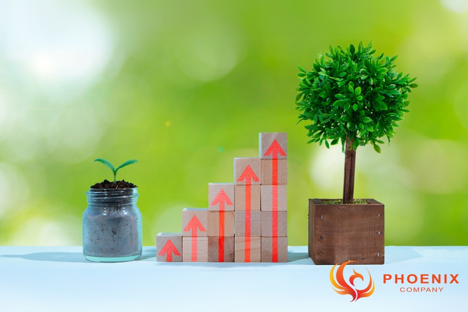 Giá rẻ không có nghĩa là kém hiệu quả - chọn đúng, website vẫn mang lại lợi nhuận cao